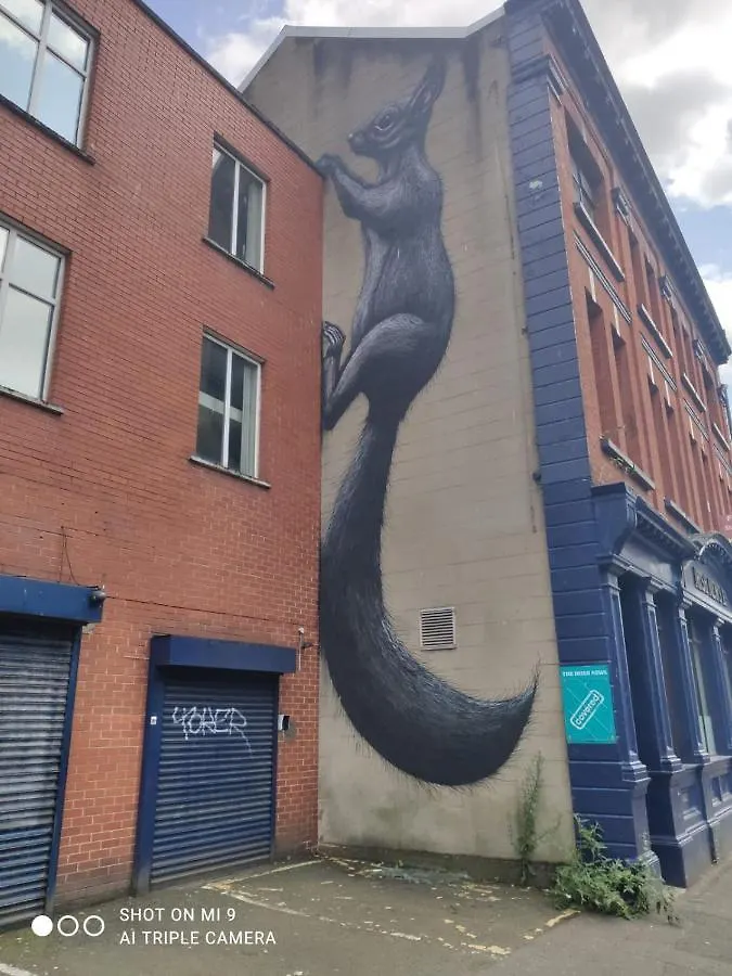 Belfast Riverview